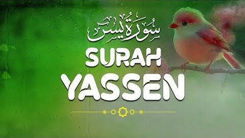 سوره یاسین Surah Yaseen | لحظهای سکوت در میان هیاهوی زندگی | بهاری قرآن Bahari Quran