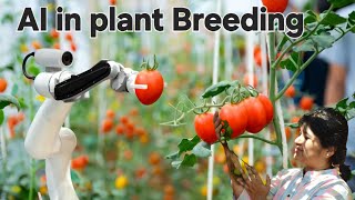 Artificial intelligence in Plant Breeding  #modernbreeding #smartbreeding #climateresilience