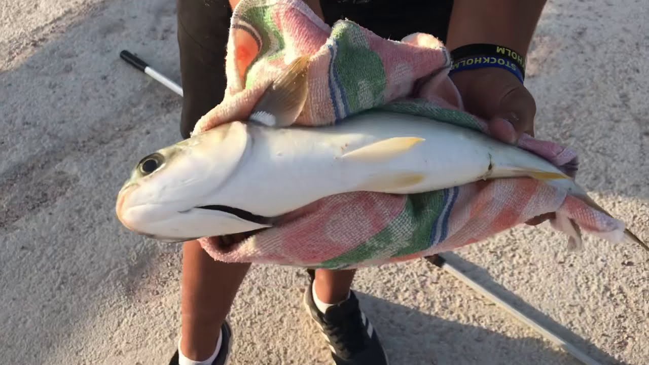 Jornada a CORCHEO en el Rio Segura de GUARDAMAR DEL SEGURA MUJOLES y CARPAS