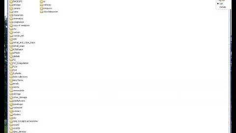 Sapien for 1st Timers