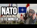 NATO - SVE STO NISTE ZNALI O NATO-u