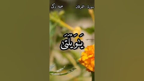 تلاوة مبكية بمقام الكرد للشيخ عبيد زكى الكردى😭 ((ويوم يعض الظالم على يديه)) #quran #حالات #القرآن
