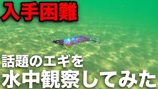 話題のエギ！セフィアクリンチフラッシュブーストを水中観察してみた。エギングにどう作用する？