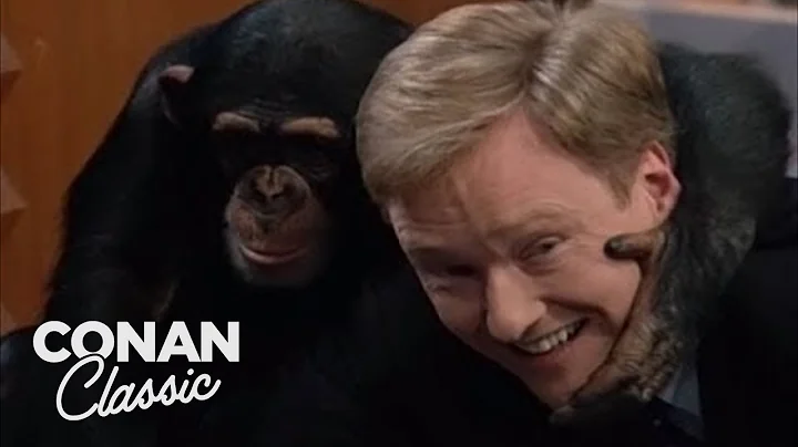 Animal Expert Jarod Miller: Fennec Fox & Chimpanze...
