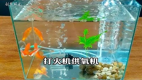 一个打火机加一个塑料瓶就能制作一个鱼缸打氧机！