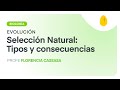 Selección Natural: Tipos y consecuencias | Biología | Evolución | V7 | Egg Educación