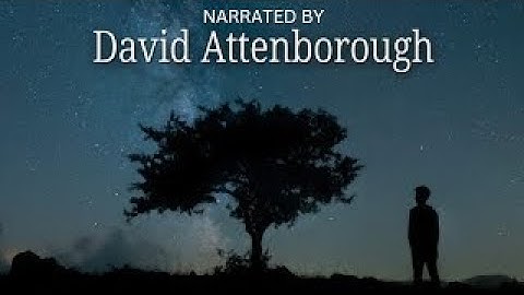 The Universe Beyond the Edge Explained — Narrated David Attenborough
