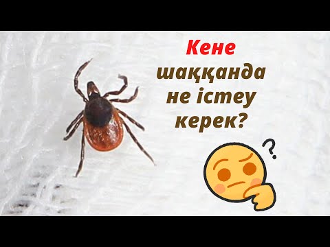 Бейне: Кене шаққанда ауырады ма?