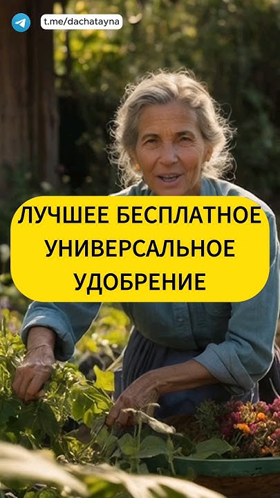 Лучшее бесплатное универсальное удобрение - YouTube