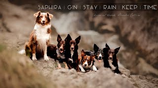 Saphira | Gin | Stay | Rain | Keep | Time [keen at work Border Collies]