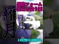 #shorts 宝石VS虫【ゆっくり茶番劇・東方物語劇】#ゆっくり茶番劇