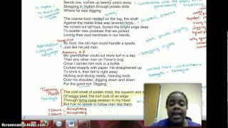 Marking the Text