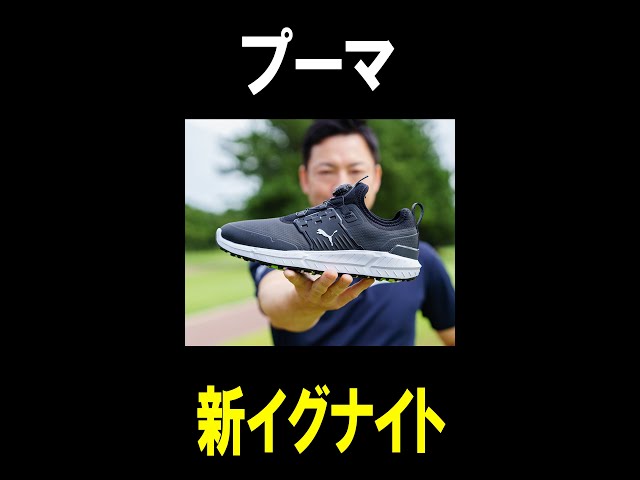 プーマ PUMA　イグナイト IGNITE　boa　予備ソフトスパイク4個付き