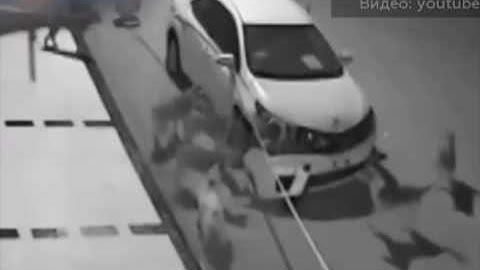 собака отомстила за хозяина ПАК за неправильную парковку