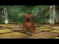 Jessie670 Plays Kinectimals Unleashed Part 5 Alvina The Cinnamon Bear Cub
