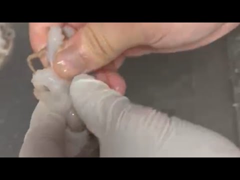 easiest way to clean baby octopus - YouTube