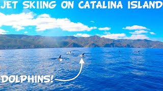 I Went Jet Skiing With Dolphins on Catalina Island California