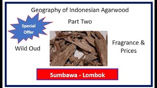 Geography of Indonesian Oud, Sumbawa & Lombok, Natural Factors, Fragrance & Prices - Episode #042