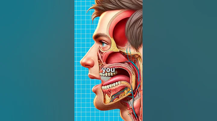 Proč váš hlas zní při nahrávání divně 🤔