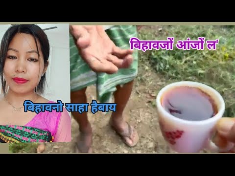 बिहावजों आंजों ल' बिहावनो साहा हैबाय//Lwkhisri Brahma life 🧬