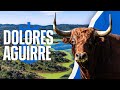 GANADERIA DOLORES AGUIRRE - El TORO en Dehesa Frías