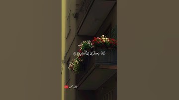 تلاوة خاشعة للشيخ ماهر المعيقلي 🎧❤️‍🩹 #اكسبلور #أرح_سمعك_وقلبك #ماهر_المعيقلي #طمئن_قلبك #راحة_نفسية