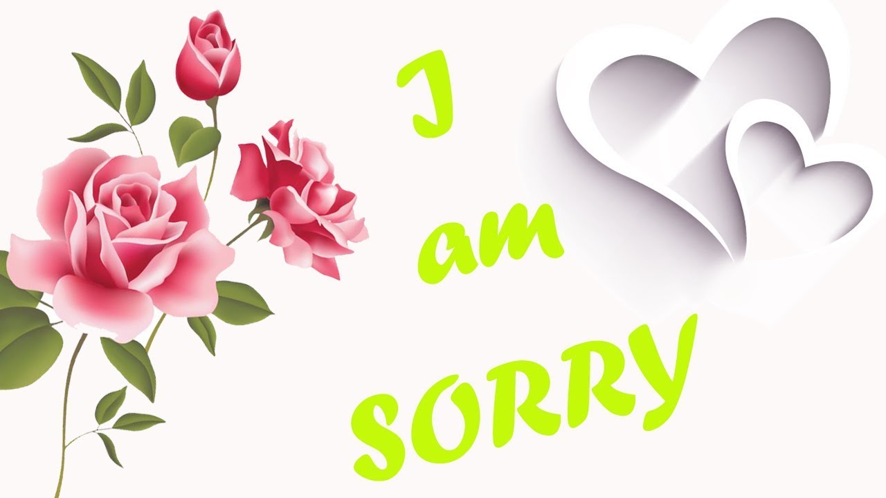 I Am So Sorry My Love Sorry My Love Sorry Images Butterfly Background