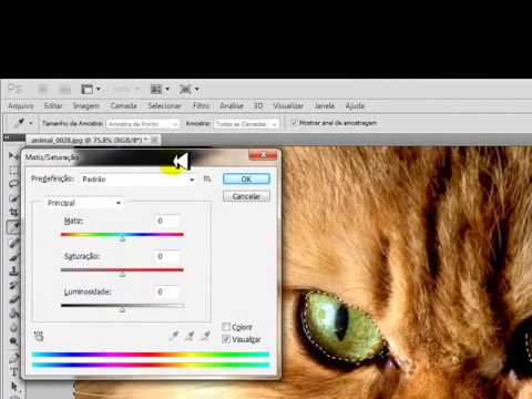 Vídeo: Como Remover A Saturação De Uma Foto