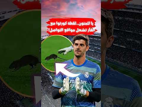 صادم كورتوا يترك المرمى ويلاحق فأر ا لقطة جنونية ت فجر السوشيال ميديا