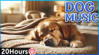 20 HOURS of Dog Calming Music For Dogs🎵Anti Separation Anxiety Relief💖🐶Dog's Favorite Music