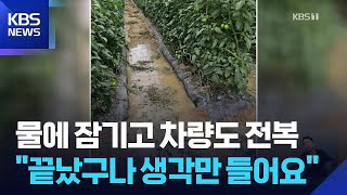 물에 잠기고 차량도 전복…비닐하우스도 침수 / KBS  2025.06.21.