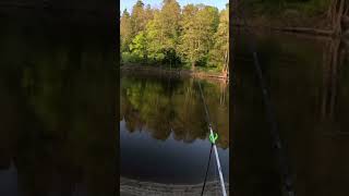 Фидер #рыбалка #весна #fishing