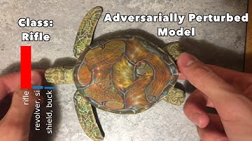 Fooling Neural Networks in the Physical World