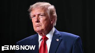 'Hit with reality': Trump's pitch of 'a billionaire dream' to 'poor' white voters may BACKFIRE