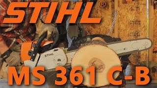 MS 361