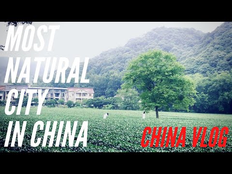 Discover Yunxi Bamboo Forest in Hangzhou, China