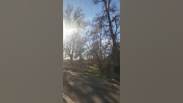 Video Compression Test Short 1