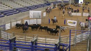 Team Sorting #9 Short Go (Final) - 2019 USTPA Panhandle Pen & Sort