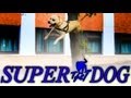 TRET - SUPER DOG