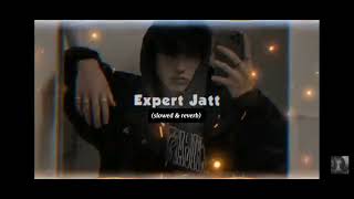 expert jatt (slowed & reverb) nawab | new punjabi song,punjabi song slowed and reverb expert jatt,ex