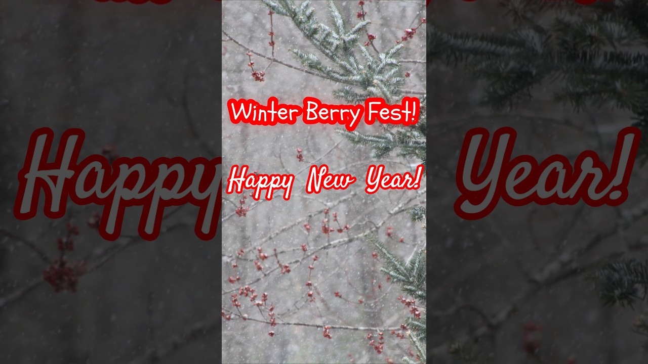 Winter Berry Fest! Happy New Year! 