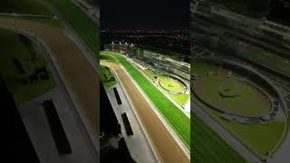 A Night Of Thrills And Lights At Dubais Racing Arena dubainights viral