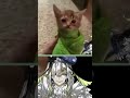 Brainrot Vtuber