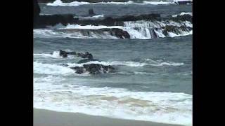 Boliek Dahan - Ojo nesu