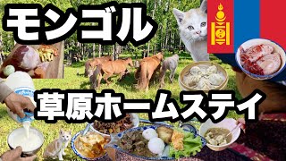 モンゴルの遊牧民の家に泊まってみた/草原で暮らす遊牧民グルメ/牧畜で馬と羊を管理する