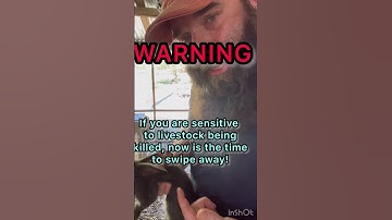 Hoe je een konijn kunt doden (humaan) #dierenhouderij #konijnen fokken #vleeskonijnen #zelfvoorzi...