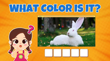 Guess The Color | What Color Is It? | Color Game for Kids