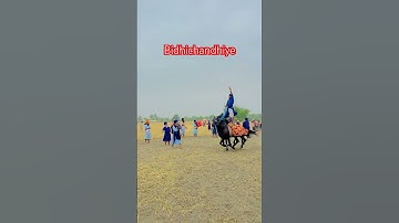 🙏dal baba bidhi chand ji🙏#shortvideo #khalsa #page #trending #subscriber #horse