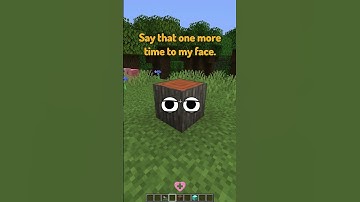 Types of Blocks in Minecraft