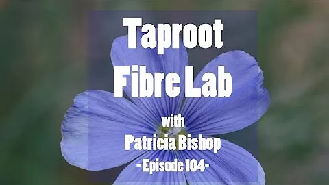 Episode 103 Taproot Fibre Lab with Patricia Bishop